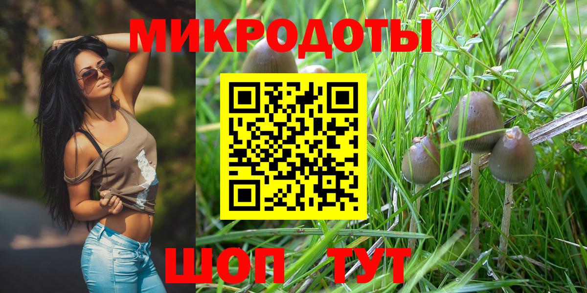 Нижнекамск  Галлюциногенные грибы Cubensis  Вход с VPN 